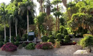 Aswan Botanical Garden & Felucca tour