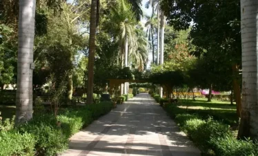 Aswan Botanical Garden & Felucca tour