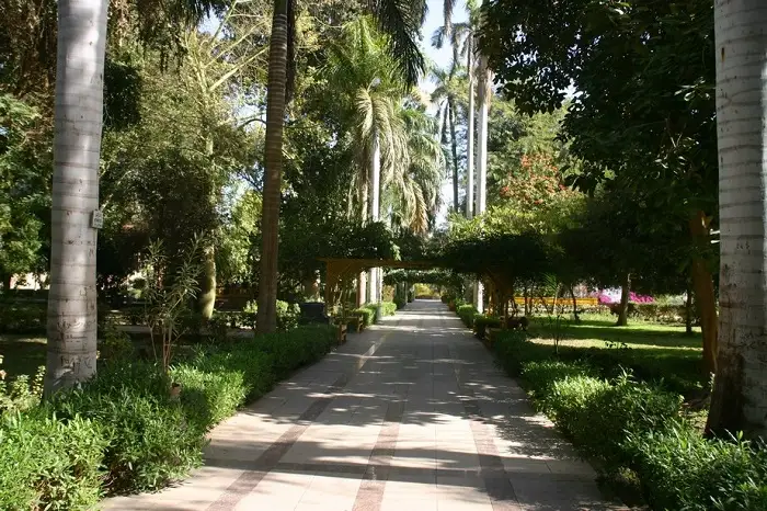 Aswan Botanical Garden & Felucca tour