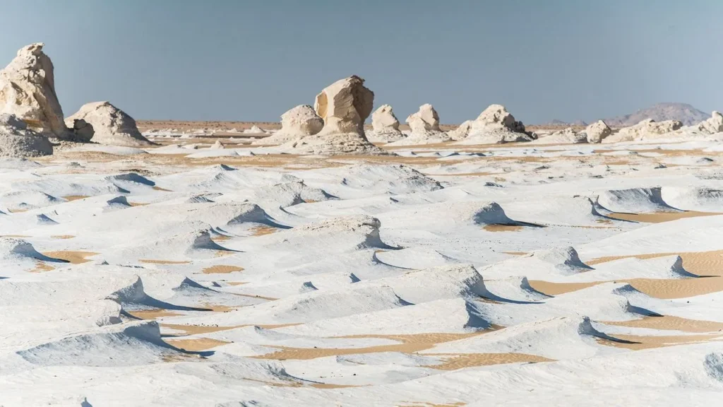 Black and White Desert