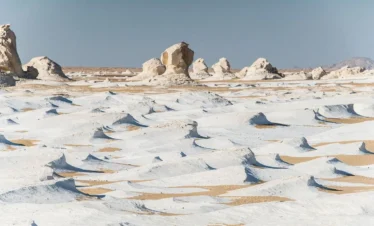 Black and White Desert